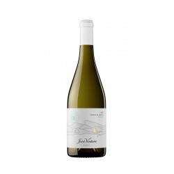 Seleccio 15 Vinyes  Blanc...