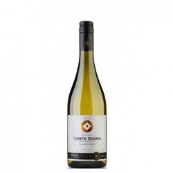 Chile - Santa Digna Chardonnay