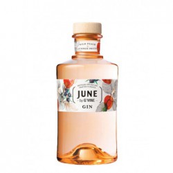 Gin June Watermelon By G-Vine