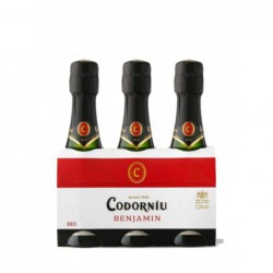 Codoniu Benjamin Extra Brut...