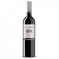 Mendoza Cabernet Monastrell...