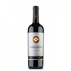 Chile - Santa Digna Carmenere