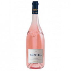 Magnum Calafuria Rose