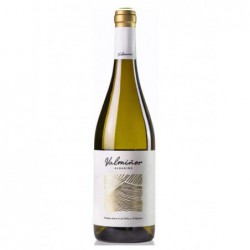 Valmiñor Albariño